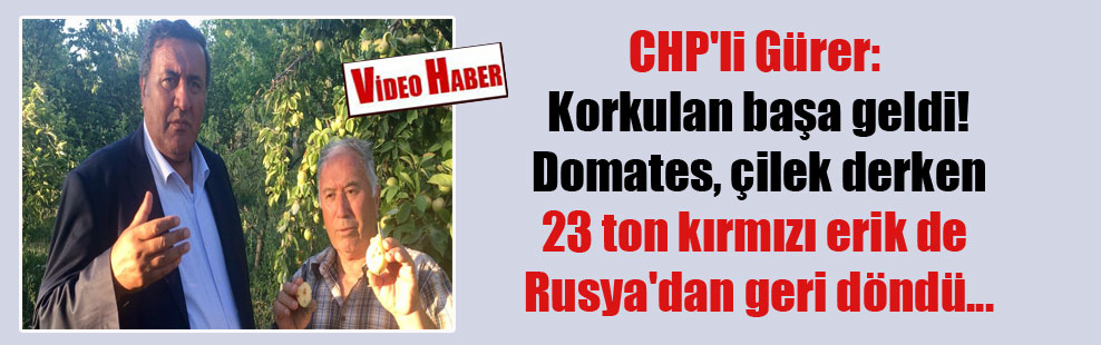 CHP’li Gürer: Korkulan başa geldi! Domates, çilek derken 23 ton kırmızı erik de Rusya’dan geri döndü…