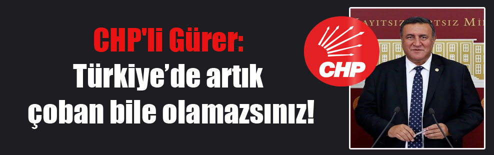 CHP’li Gürer: Türkiye’de artık çoban bile olamazsınız!