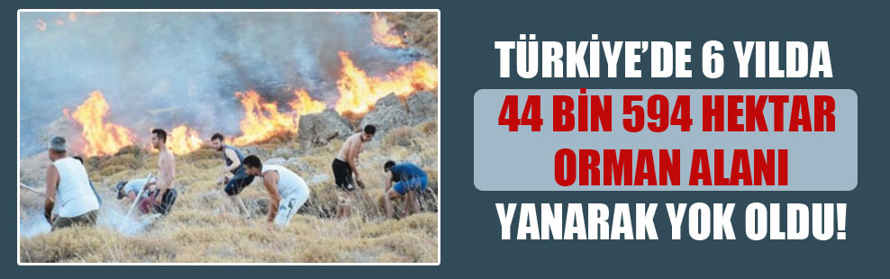 Türkiye’de 6 yılda 44 bin 594 hektar orman alanı yanarak yok oldu!
