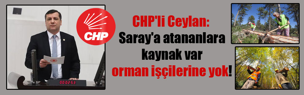 CHP’li Ceylan: Saray’a atananlara kaynak var orman işçilerine yok!
