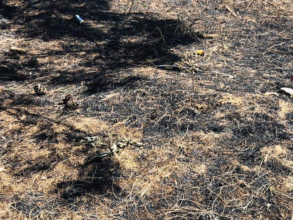 Adana Kozan’daki orman yangını sebebiyle 6 köy boşaltıldı