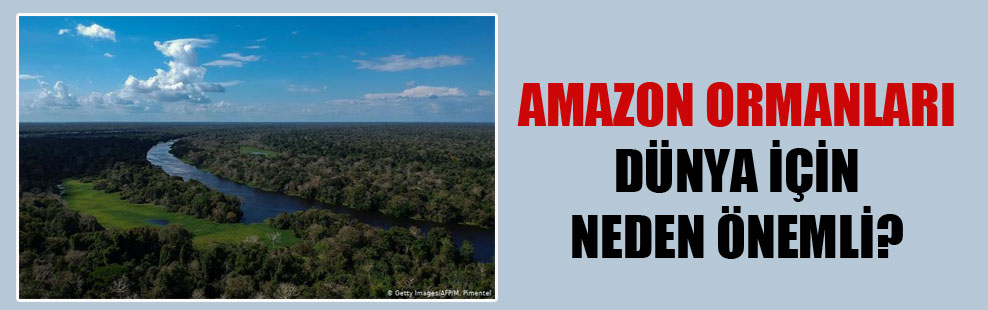 Amazon Ormanları dünya için neden önemli?