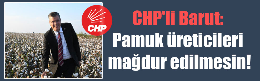 CHP’li Barut: Pamuk üreticileri mağdur edilmesin!