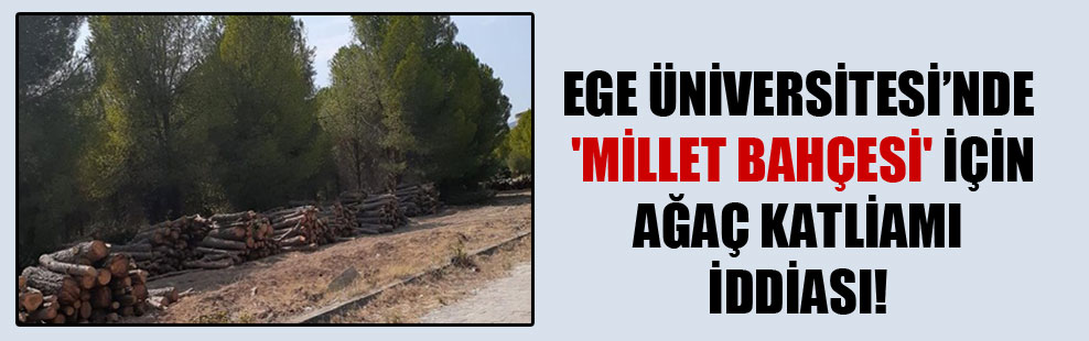 Ege Üniversitesi’nde ‘millet bahçesi’ için ağaç katliamı iddiası!
