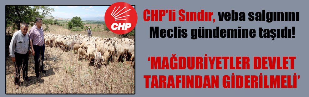 CHP’li Sındır, veba salgınını Meclis gündemine taşıdı!