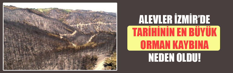 Alevler İzmir’de tarihinin en büyük orman kaybına neden oldu!