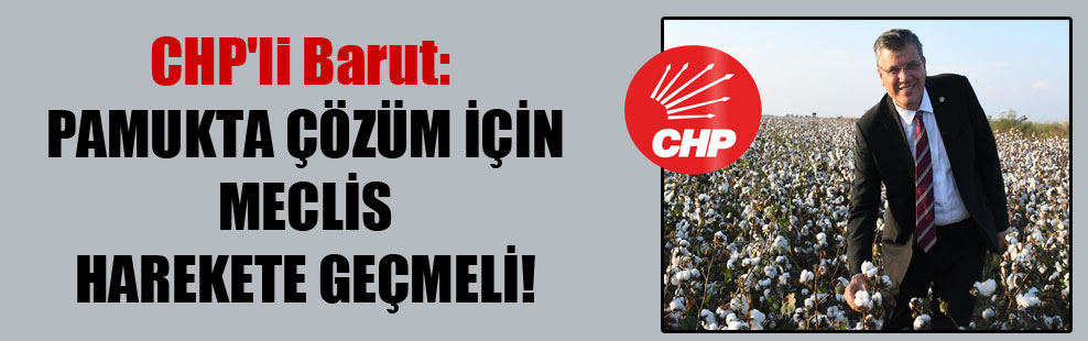 CHP’li Barut: Pamukta çözüm için Meclis harekete geçmeli!