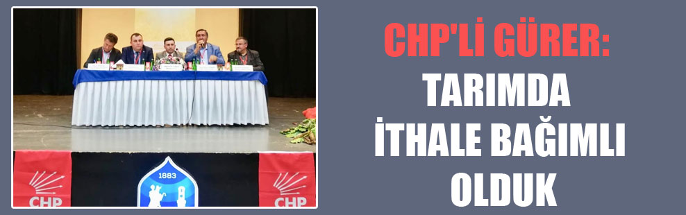 CHP’li Gürer: Tarımda ithale bağımlı olduk