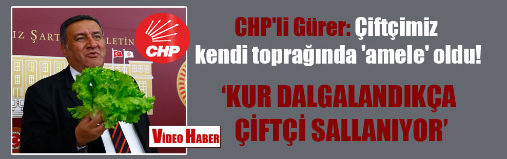 CHP’li Gürer: Çiftçimiz kendi toprağında ‘amele’ oldu!
