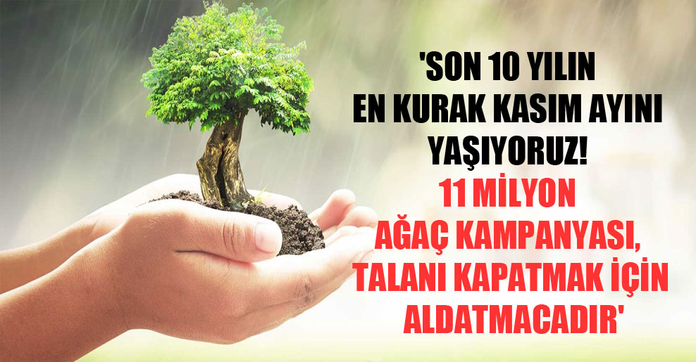 ‘Son 10 yılın en kurak kasım ayını yaşıyoruz. 11 milyon ağaç kampanyası, talanı kapatmak için aldatmacadır’