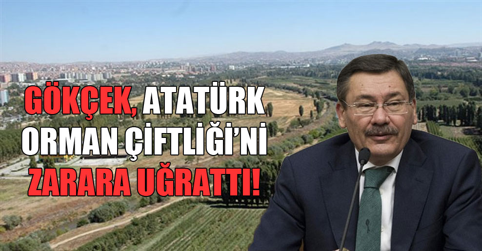 Gökçek, Atatürk Orman Çiftliği’ni zarara uğrattı!