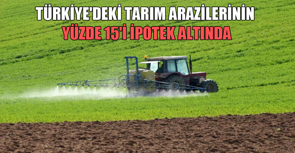 Türkiye’deki tarım arazilerinin yüzde 15’i ipotek altında!