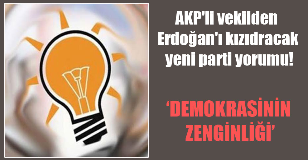 AKP’li vekilden Erdoğan’ı kızıdracak yeni parti yorumu!
