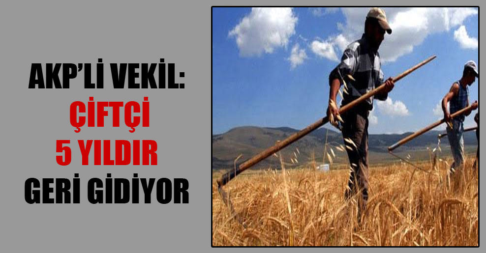 AKP’li vekil: Çiftçi 5 yıldır geri gidiyor