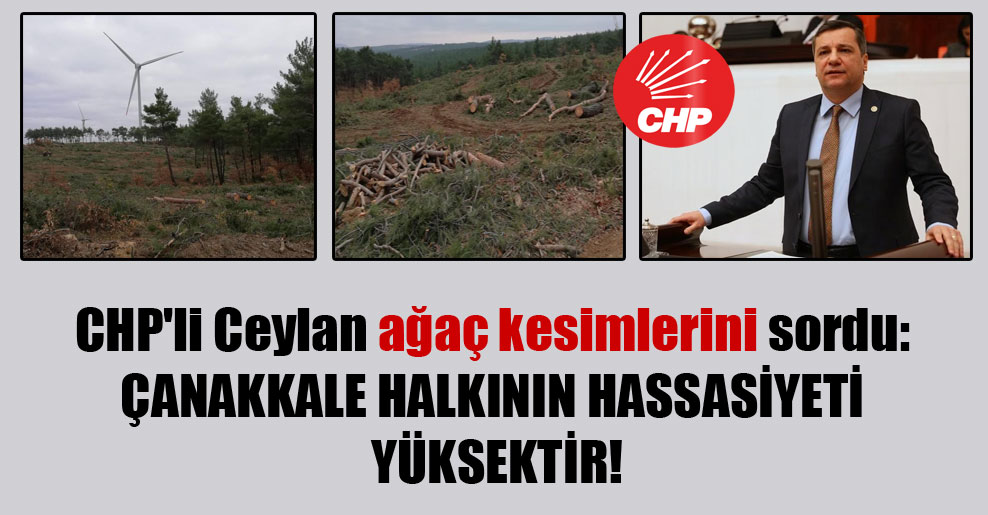 CHP’li Ceylan ağaç kesimlerini sordu: Çanakkale halkının hassasiyeti yüksektir!