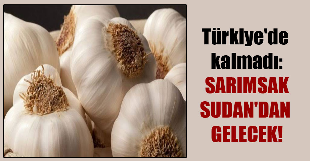 Türkiye’de kalmadı: Sarımsak Sudan’dan gelecek!