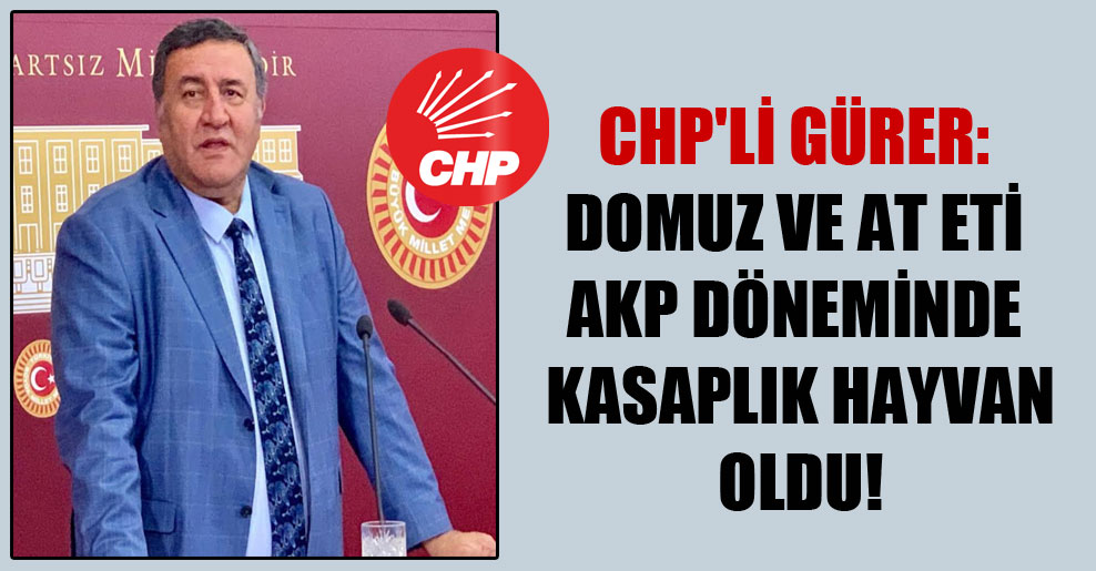 CHP’li Gürer: Domuz ve at eti AKP döneminde kasaplık hayvan oldu!