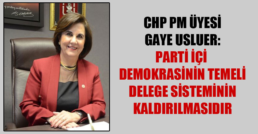 CHP PM üyesi Gaye Usluer: Parti içi demokrasinin temeli delege sisteminin kaldırılmasıdır