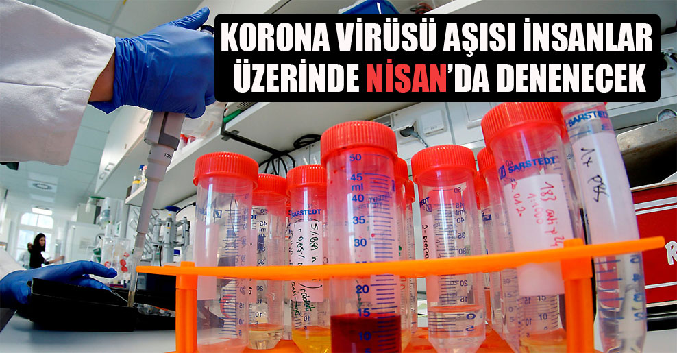Korona virüsü aşısı insanlar üzerinde Nisan’da denenecek