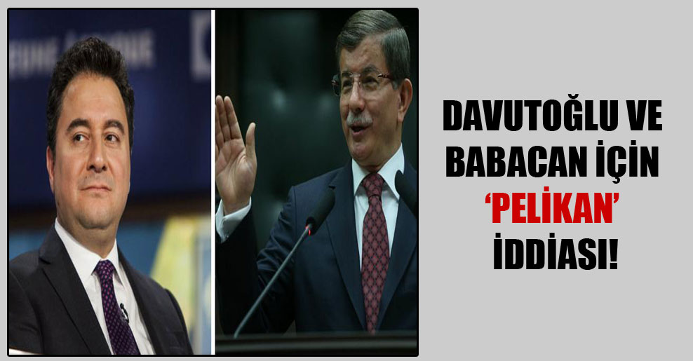 Davutoğlu ve Babacan için ‘Pelikan’ iddiası!