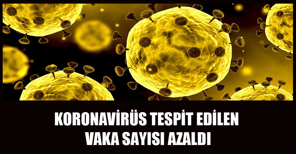 Koronavirüs tespit edilen vaka sayısı azaldı