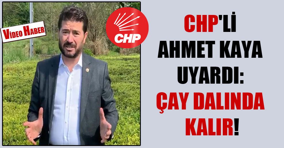 CHP’li Ahmet Kaya uyardı: Çay dalında kalır!