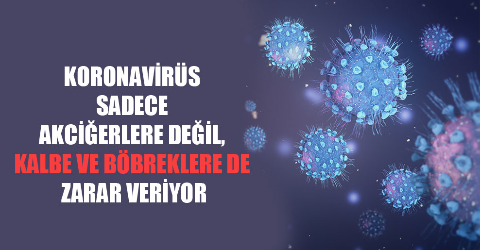 Koronavirüs sadece akciğerlere değil, kalbe ve böbreklere de zarar veriyor