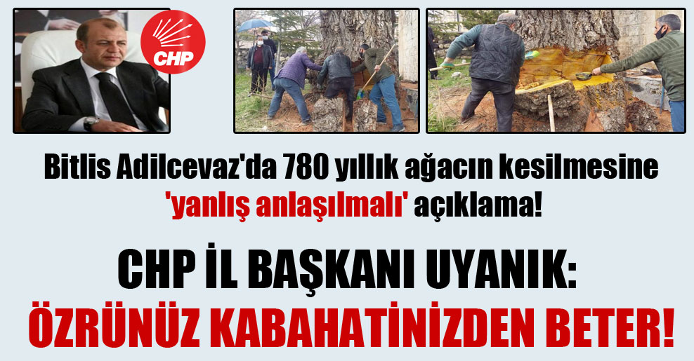 Bitlis Adilcevaz’da 780 yıllık ağacın kesilmesine ‘yanlış anlaşılmalı’ açıklama! CHP İl Başkanı Uyanık: Özrünüz kabahatinizden beter!