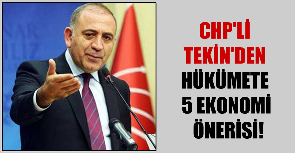 CHP’li Tekin’den hükümete 5 ekonomi önerisi!