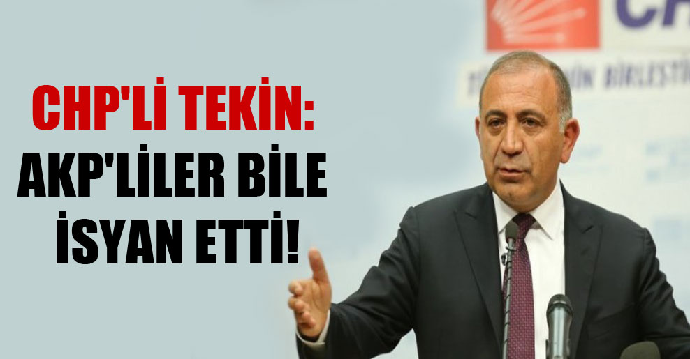 CHP’li Tekin: AKP’liler bile isyan etti!