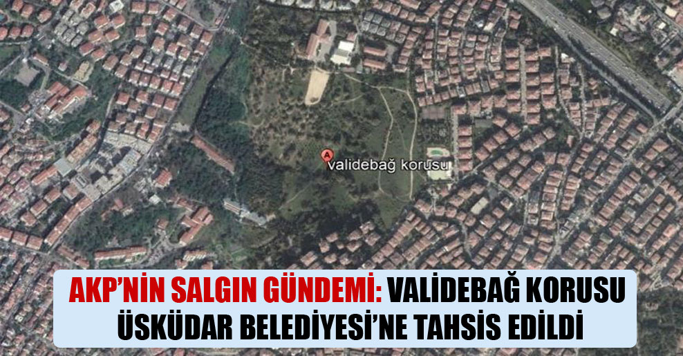 AKP’nin salgın gündemi: Validebağ Korusu Üsküdar Belediyesi’ne tahsis edildi