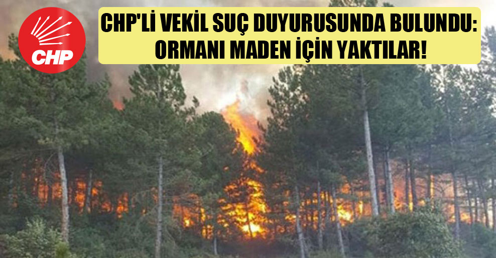 CHP’li vekil suç duyurusunda bulundu: Ormanı maden için yaktılar!