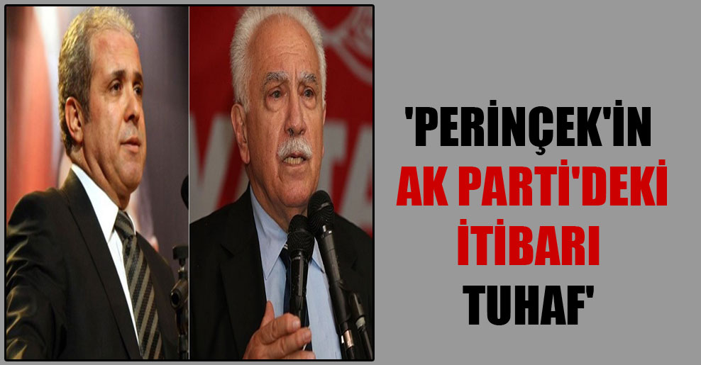 ‘Perinçek’in AK Parti’deki itibarı tuhaf’