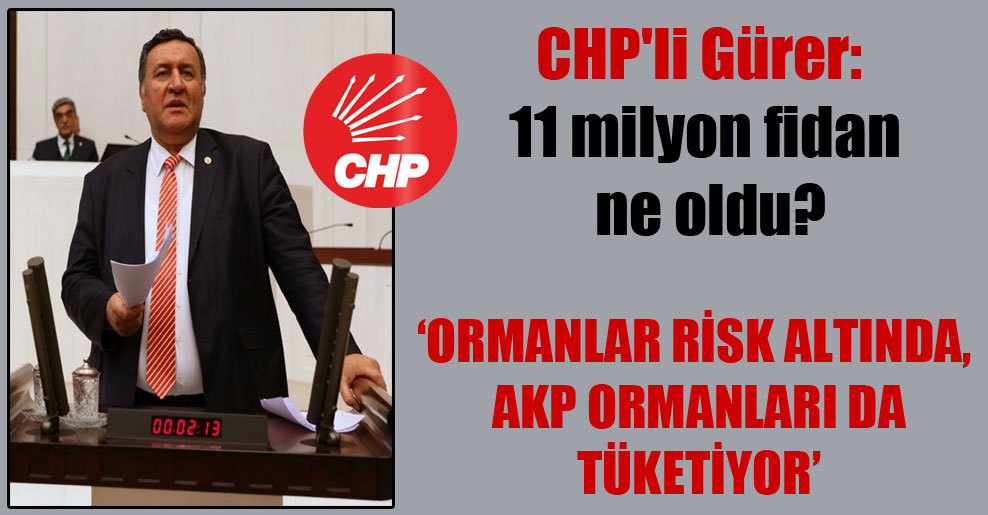 CHP’li Gürer: 11 milyon fidan ne oldu?