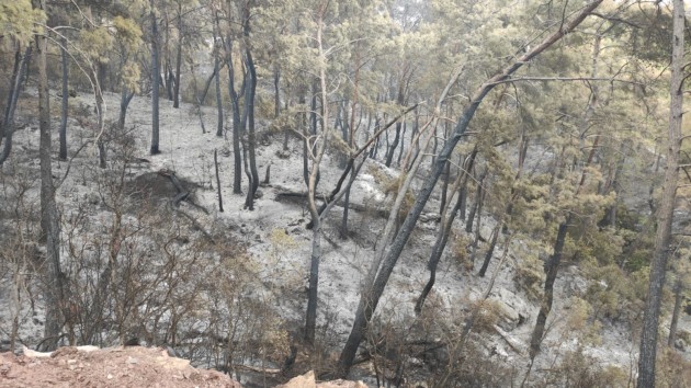 Adrasan Orman Yangını 1 20.09.2020