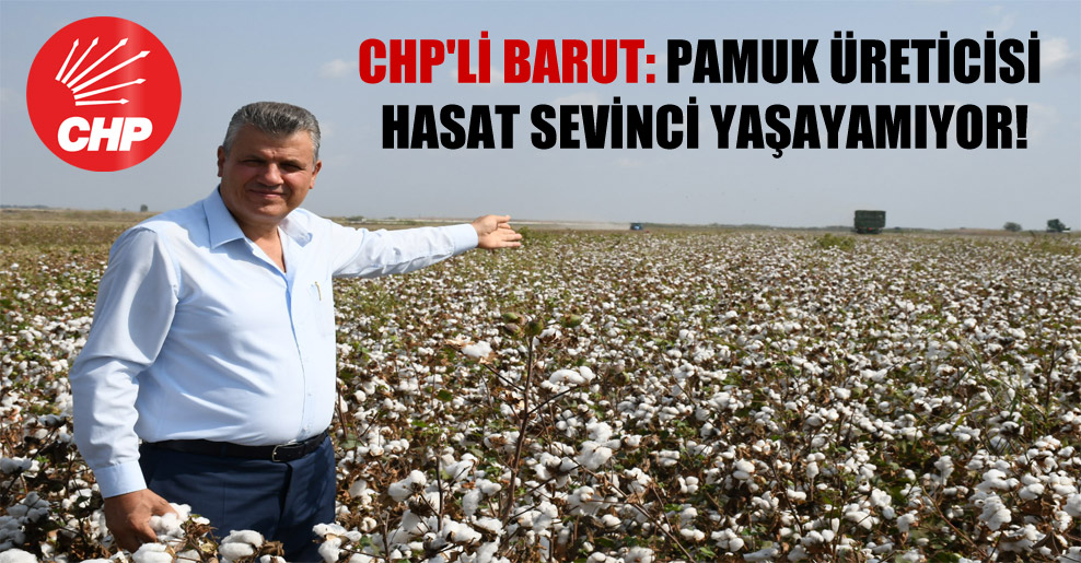 CHP’li Barut: Pamuk üreticisi hasat sevinci yaşayamıyor!