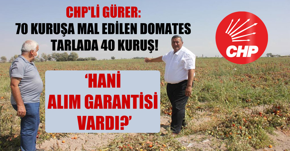 CHP’li Gürer: 70 kuruşa mal edilen domates tarlada 40 kuruş!