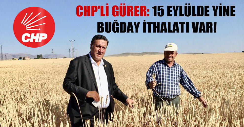 CHP’li Gürer: 15 Eylülde yine buğday ithalatı var!