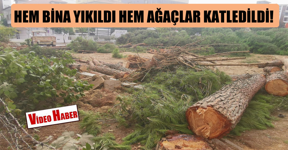 Hem bina yıkıldı hem ağaçlar katledildi!