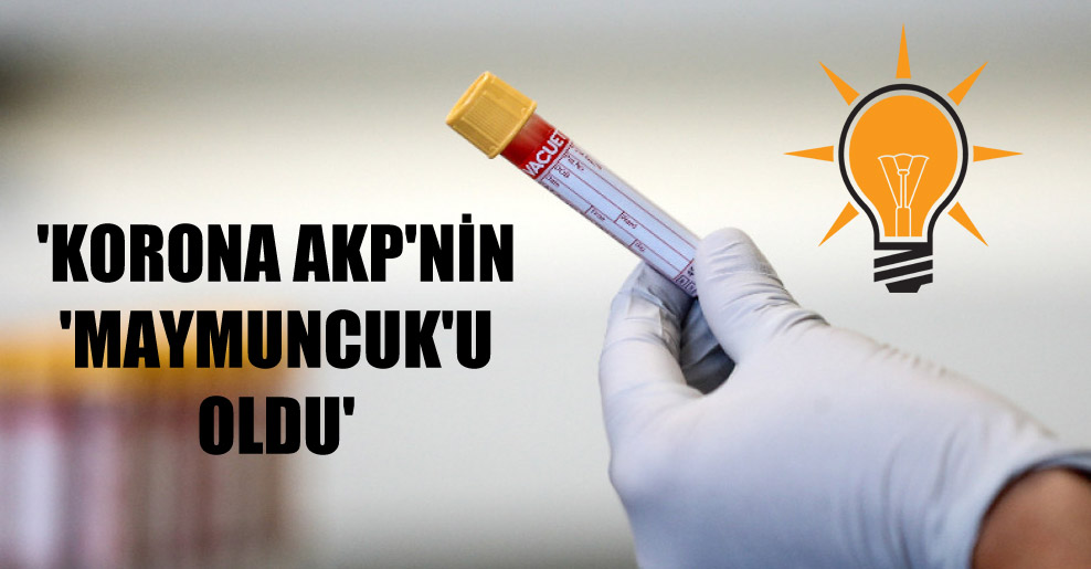 ‘Korona AKP’nin ‘maymuncuk’u oldu’