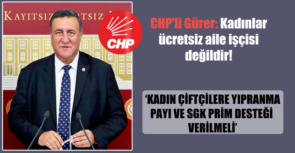 CHP’li Gürer: Kadınlar ücretsiz aile işçisi değildir!