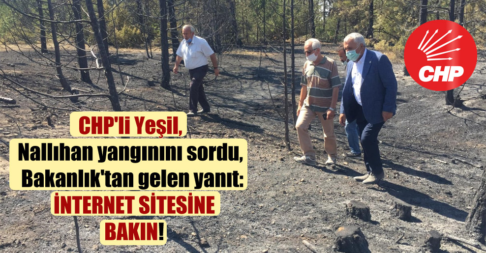 CHP’li Yeşil, Nallıhan yangınını sordu, Bakanlık’tan gelen yanıt: İnternet sitesine bakın!