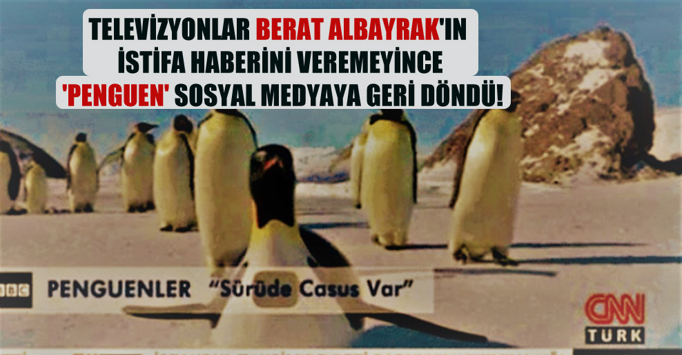 Televizyonlar Berat Albayrak’ın istifa haberini veremeyince ‘penguen’ sosyal medyaya geri döndü!