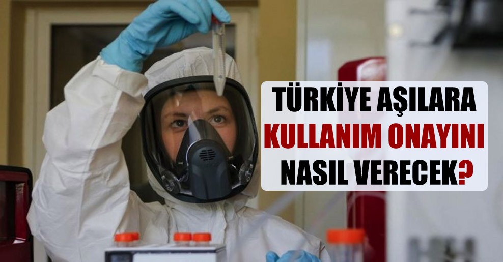 Türkiye aşılara kullanım onayını nasıl verecek?