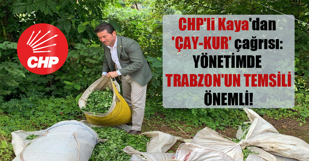 CHP’li Kaya’dan ‘ÇAY-KUR’ çağrısı: Yönetimde Trabzon’un temsili önemli!