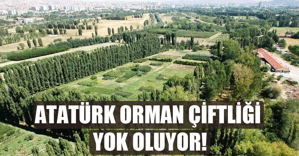 Atatürk Orman Çiftliği yok oluyor!