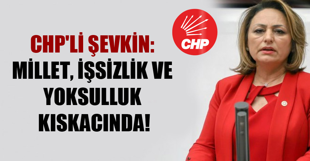 CHP’li Şevkin: Millet, işsizlik ve yoksulluk kıskacında!