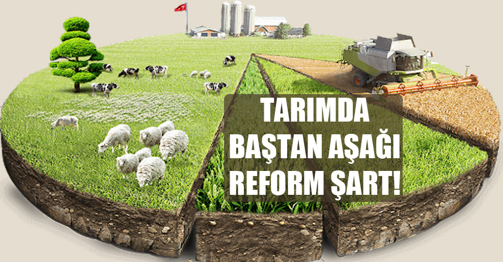 Tarımda baştan aşağı reform şart!