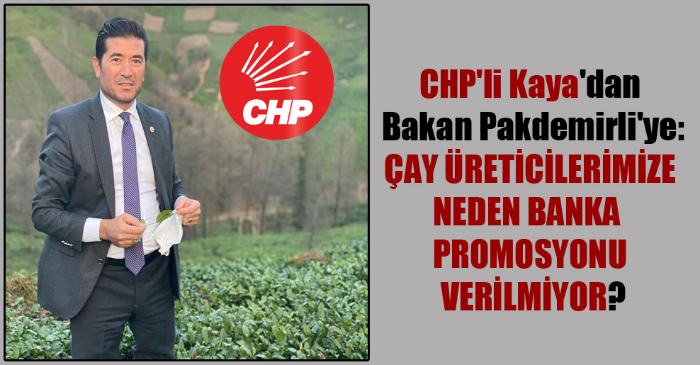 CHP’li Kaya’dan Bakan Pakdemirli’ye: Çay üreticilerimize neden banka promosyonu verilmiyor?