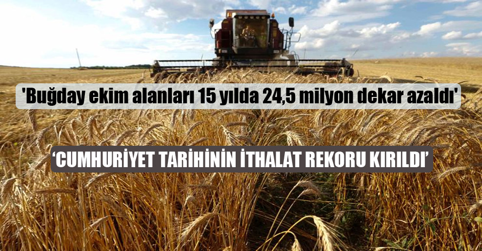 ‘Buğday ekim alanları 15 yılda 24,5 milyon dekar azaldı’